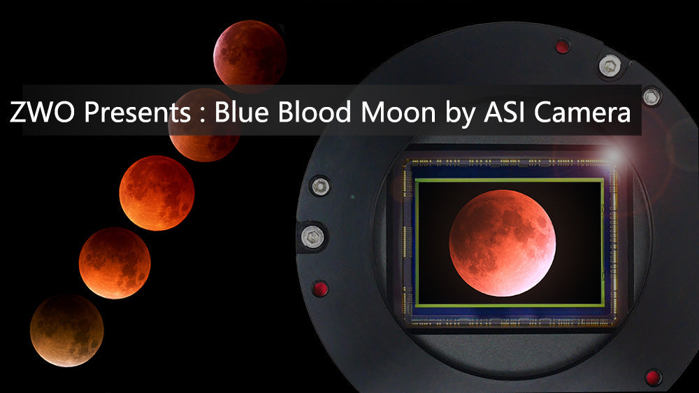 ZWO Presents : Blue Blood Moon by ASI Camera